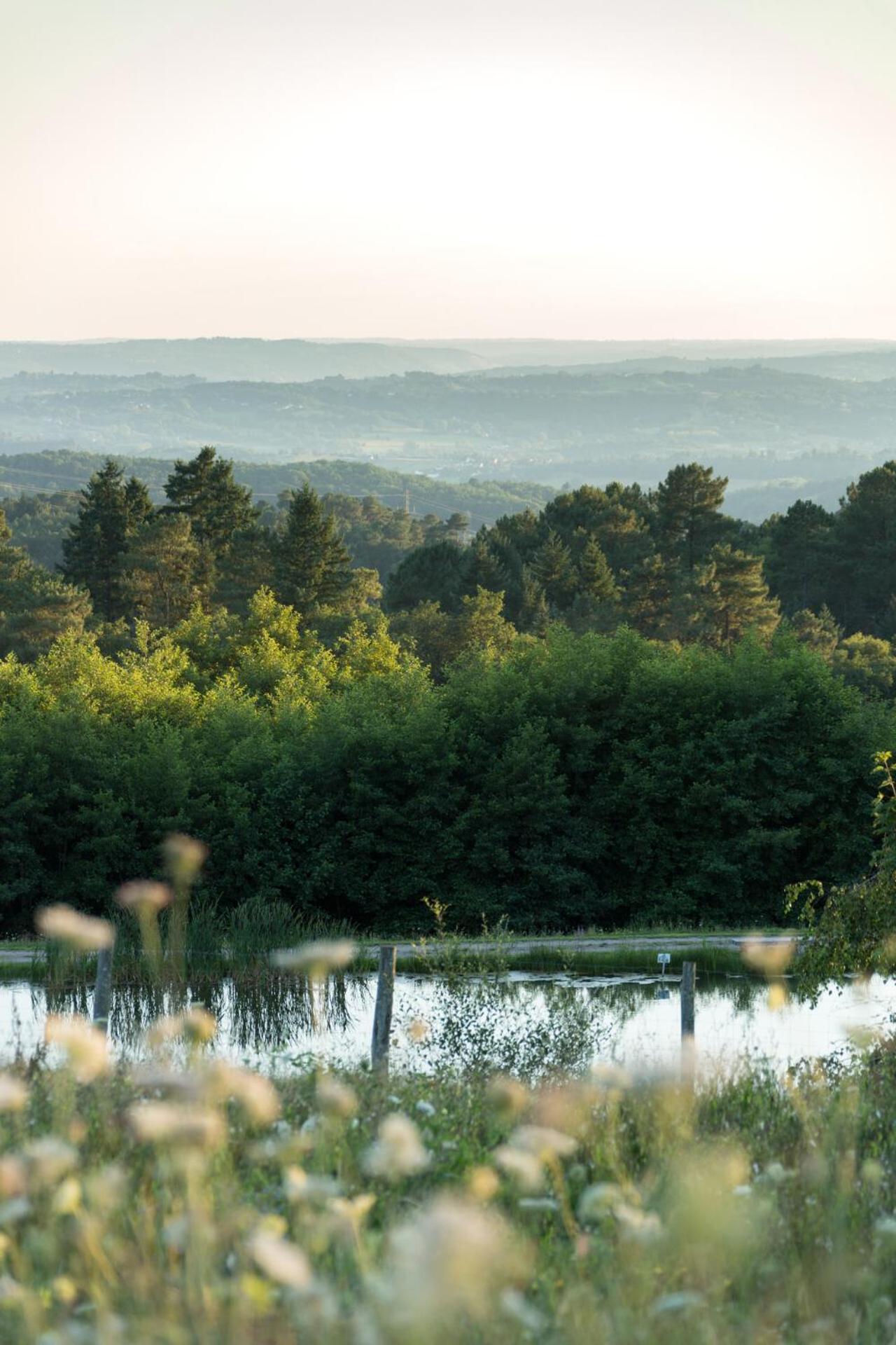 Les Collines De Sainte-Fereole Hotel Buitenkant foto
